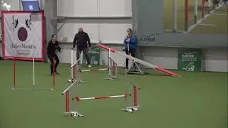 Agility German Classics Halbfinale Team 