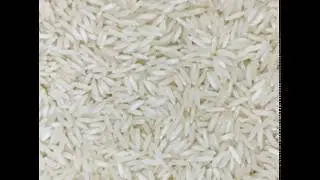 Top 10 Rice producing states in India|Rice