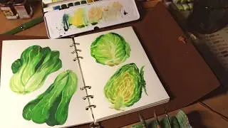 ASMR｜Two Green Cabbages Softly Blended in Watercolor on My Notebook「Winsornewton」no music｜no talking