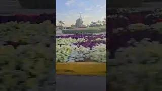 Карусели Абу-Даби #travel2026 #shielapiet #roadAbudhabi #trip
