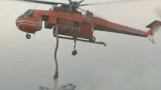 Elvis water bombing Narre Warren North