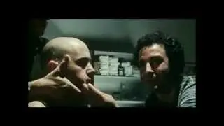 PIOVONO MUCCHE Luca Vendruscolo