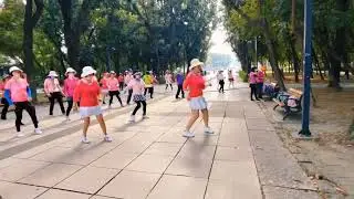 Hoedown （鄉村舞會）