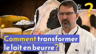 Comment transformer le lait en beurre ?