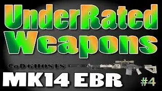 UnderRated Weapons: MK14 EBR (Call of Duty Ghosts)
