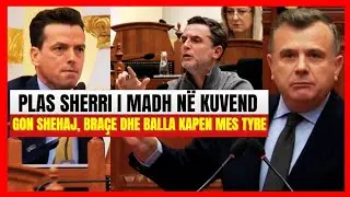 Kërcet sherri mes Kuvendit-'Po të vjen fundi'/ Shehaj, Balla dhe Braçe kapen mes tyre