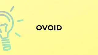What is the meaning of the word OVOID?