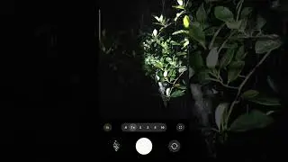Samsung Galaxy s25 Ultra night mode test 🔥 #samsungs25ultranightmodetest#samsungs25ultra #viralreels