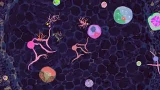 skin hunger：Visualization of Intimate Desire under Social Atomization