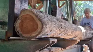 The process of sawing 15×15×400 wooden beams for construction materials for making houses