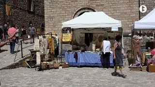Castellar de n'Hug, La fireta de la Llana 2024
