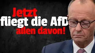 💥DAS ist die Quittung f&uuml;r Merz! AfD GEWINNT die neueste Umfrage