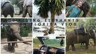 Elephant Sanctuary Vlog