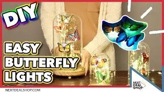 DIY Glass Dome Lights with LED Butterflies! - Easy and Simple Lighting Decor - Next Deal Shop