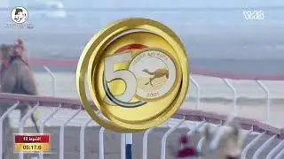 الشوط 12 (طيش) لـ سالم سعيد دلهم الهاجري 7:22:8 ، جائزة زايد الكبرى 2021 2021/11/28 لقايا الوثبه