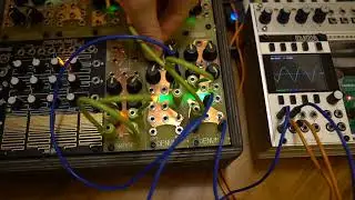 Playing Denum from Ieaskul F. Mobenthey