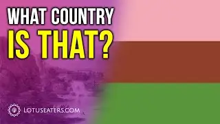 You Are A Gynosexual NPC