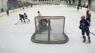 CBHL 12U Girls Gold Playoff Semi final 1/31/2026 - Reston Raiders vs Montgomery Ice Devils