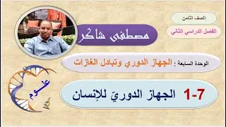 الجهاز الدوري للإنسان علوم صف ثامن منهج كامبردج الفصل الدراسي الثاني
