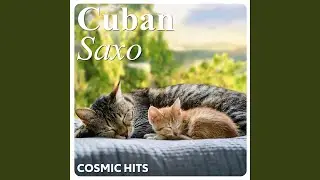 Saxophone Serenade for Cats