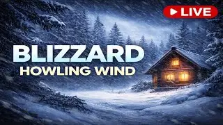 Classical Chill Live - Snowstorm / Blizzard - Sounds For Sleeping, Relaxing & Meditation