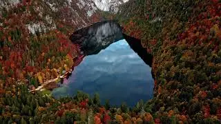 Escape to Nature 🍃 | Chillstep & Lo-Fi Beats for Relaxation & Focus