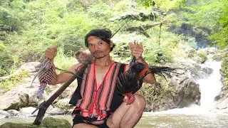 Survival With Monkey - Trap wild chickens equal tools survival primitive with monkey Jerry