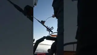 Planer Boards Catch BIG CATFISH