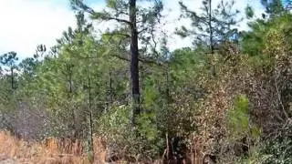 Homes for Sale - 1052 Rosa Parks Ln Wilmington NC 28409 - Richard Schouten