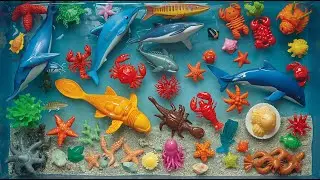 Жизнь под волнами: 100 удивительных морских животных