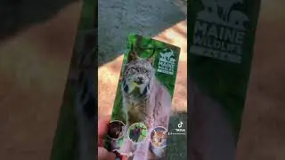 WeirdshxtOnly Visits Zoo /Animal rescue In Maine pt .2