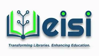 About the Company (EISI)