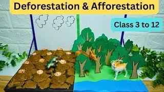 Deforestation Afforestation 3D Model | Environmental Project for Students | Save Trees Project Model