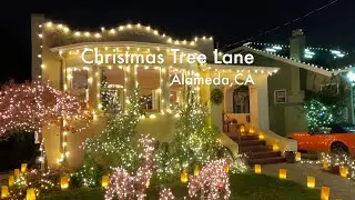 Christmas Tree Lane in Alameda, California | Bay Area’s Most Festive Street