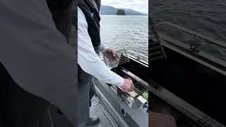 Чистка нашего барбекю Magma Boat
