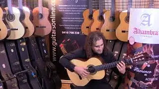 Alhambra Flamenco Guitar 5FP   