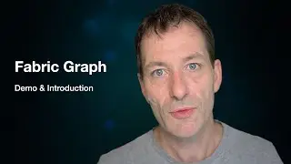Introduction to Fabric Graph