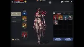 Rohan M archer agi dex type damage demo!,