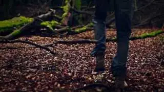 When We Are Wild - 'Scuse Me