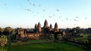  birds flying in the sky above Angkor Wat 