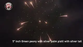 5inch Display shell-28 Green peony with silver palm pistil with silver tail