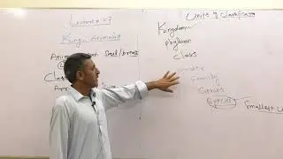 Biology leacture #kingdomanimalia #mdcat2024 #kmumdcat#trending #viral #bestteacher