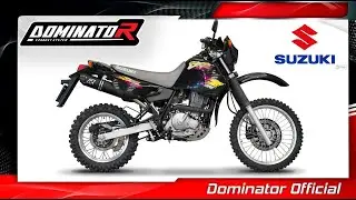 Suzuki DR 650 R | Dominator Exhaust Sound