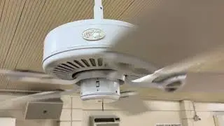52&rdquo; Hampton Bay Farmington ceiling fan (after capacitor replacement)