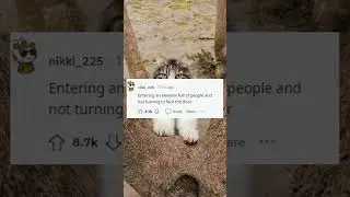 What's Legal but Looks Psychopathic? Reddit's Top Comments Compilation! (2021) #LegalYetCreepy