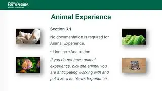 USF IACUC Researcher Certification Documentation Requirements
