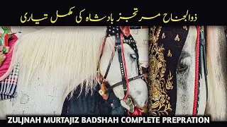 Zuljnah Prepration | Murtajiz Badshah Ki Muqamal Tyari | Beautiful Zuljanah