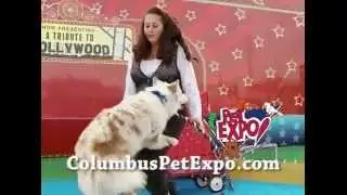 Columbus Pet Expo 2014