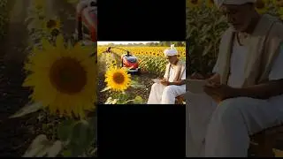 🌻 Indian Farmer Using Robot in Sunflower Garden | Modern Farming Tech 🌾