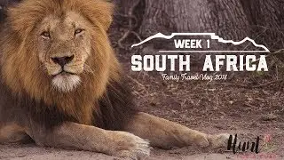 South Africa Family Travel Vlog - Week 1